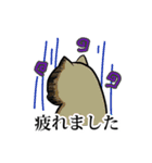 猫敬語スタンプ（個別スタンプ：37）