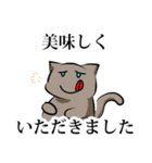 猫敬語スタンプ（個別スタンプ：38）