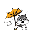 Furry Grey in Pause Break（個別スタンプ：28）