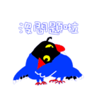 Taiwan_Blue_Magpie（個別スタンプ：10）