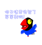 Taiwan_Blue_Magpie（個別スタンプ：17）