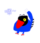 Taiwan_Blue_Magpie（個別スタンプ：20）