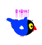 Taiwan_Blue_Magpie（個別スタンプ：25）