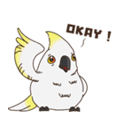 RTK Parrot（個別スタンプ：10）
