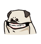 BOBO Pug's life（個別スタンプ：1）