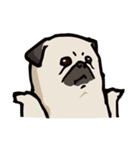 BOBO Pug's life（個別スタンプ：2）