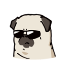 BOBO Pug's life（個別スタンプ：3）