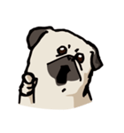 BOBO Pug's life（個別スタンプ：4）