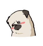 BOBO Pug's life（個別スタンプ：9）