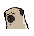 BOBO Pug's life（個別スタンプ：10）