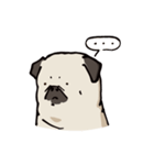 BOBO Pug's life（個別スタンプ：11）