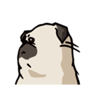 BOBO Pug's life（個別スタンプ：12）
