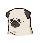 BOBO Pug's life（個別スタンプ：13）