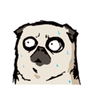 BOBO Pug's life（個別スタンプ：14）