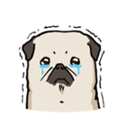 BOBO Pug's life（個別スタンプ：17）