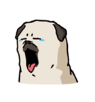 BOBO Pug's life（個別スタンプ：21）