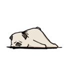 BOBO Pug's life（個別スタンプ：25）
