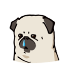 BOBO Pug's life（個別スタンプ：26）