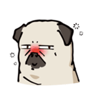 BOBO Pug's life（個別スタンプ：33）