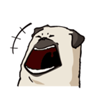 BOBO Pug's life（個別スタンプ：35）