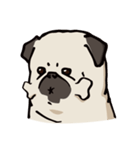 BOBO Pug's life（個別スタンプ：36）