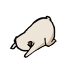 BOBO Pug's life（個別スタンプ：37）