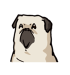 BOBO Pug's life（個別スタンプ：39）