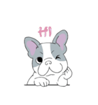 Yogi French Bulldog（個別スタンプ：1）