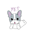 Yogi French Bulldog（個別スタンプ：2）