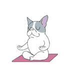 Yogi French Bulldog（個別スタンプ：5）