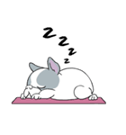 Yogi French Bulldog（個別スタンプ：9）