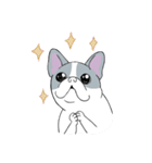 Yogi French Bulldog（個別スタンプ：10）