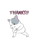 Yogi French Bulldog（個別スタンプ：14）