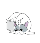 Yogi French Bulldog（個別スタンプ：16）