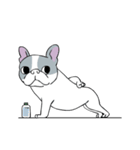 Yogi French Bulldog（個別スタンプ：18）