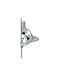 Yogi French Bulldog（個別スタンプ：24）