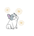 Yogi French Bulldog（個別スタンプ：26）