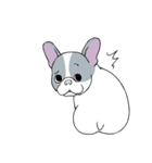 Yogi French Bulldog（個別スタンプ：28）