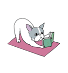 Yogi French Bulldog（個別スタンプ：29）