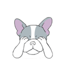 Yogi French Bulldog（個別スタンプ：30）