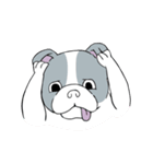 Yogi French Bulldog（個別スタンプ：31）