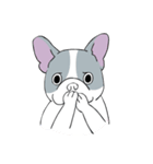 Yogi French Bulldog（個別スタンプ：32）