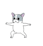 Yogi French Bulldog（個別スタンプ：33）