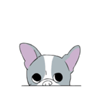 Yogi French Bulldog（個別スタンプ：35）