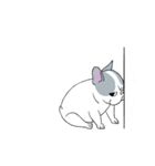Yogi French Bulldog（個別スタンプ：39）