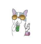 Yogi French Bulldog（個別スタンプ：40）