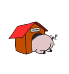 豚のシロシロ（個別スタンプ：31）