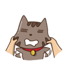 Brown Brown V.2（個別スタンプ：34）