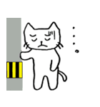 白猫のねこ丸（個別スタンプ：31）