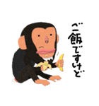 チンパンジーのバーブくん 2（個別スタンプ：5）